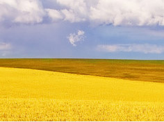 九游网页版登录基地展示4